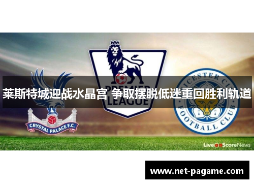 莱斯特城迎战水晶宫 争取摆脱低迷重回胜利轨道