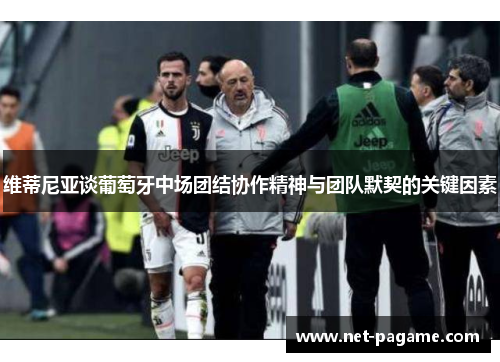 维蒂尼亚谈葡萄牙中场团结协作精神与团队默契的关键因素 维蒂尼亚谈葡萄牙中场团结协作精神与团队默契的关键因素