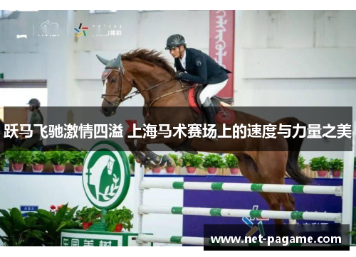 跃马飞驰激情四溢 上海马术赛场上的速度与力量之美 跃马飞驰激情四溢 上海马术赛场上的速度与力量之美