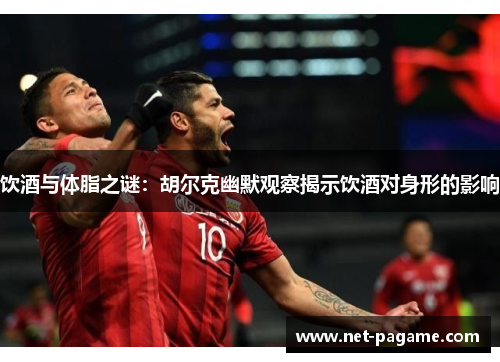 饮酒与体脂之谜：胡尔克幽默观察揭示饮酒对身形的影响