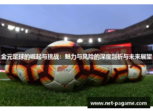 金元足球的崛起与挑战：魅力与风险的深度剖析与未来展望